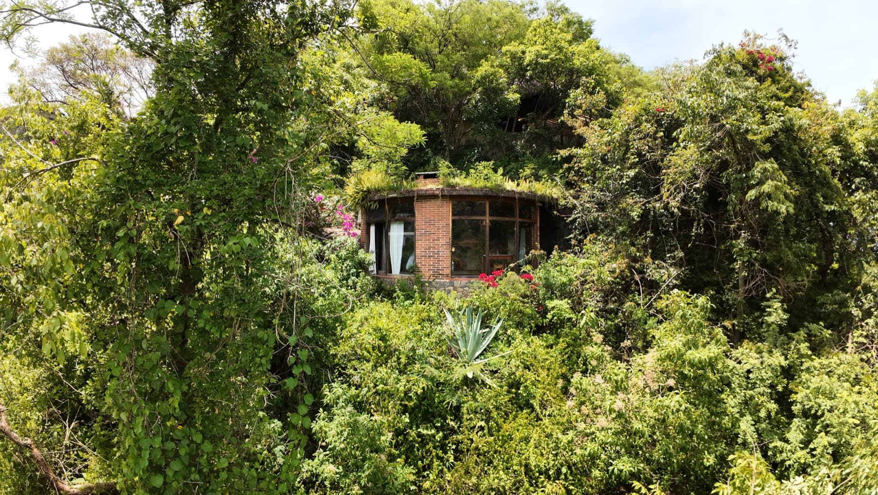 Round brick casita tucked into jungle at Hill of Dreams